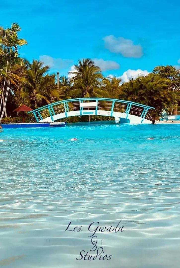 Acces Direct Plage Et Piscine, Vue Mer Et Cocotiers, Les Gwada Studios, Village Vacances Ste Anne Sainte-Anne  0*, Sainte-Anne (Grande-Terre)