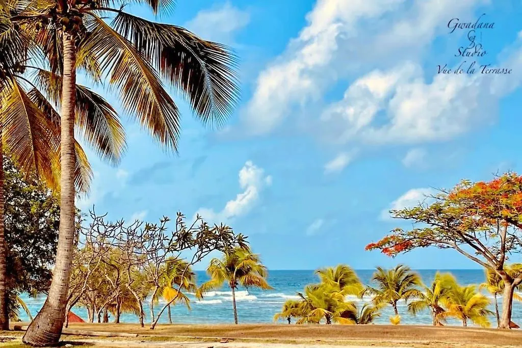 Acces Direct Plage Et Piscine, Vue Mer Et Cocotiers, Les Gwada Studios, Village Vacances Ste Anne Sainte-Anne  0*, Sainte-Anne (Grande-Terre)