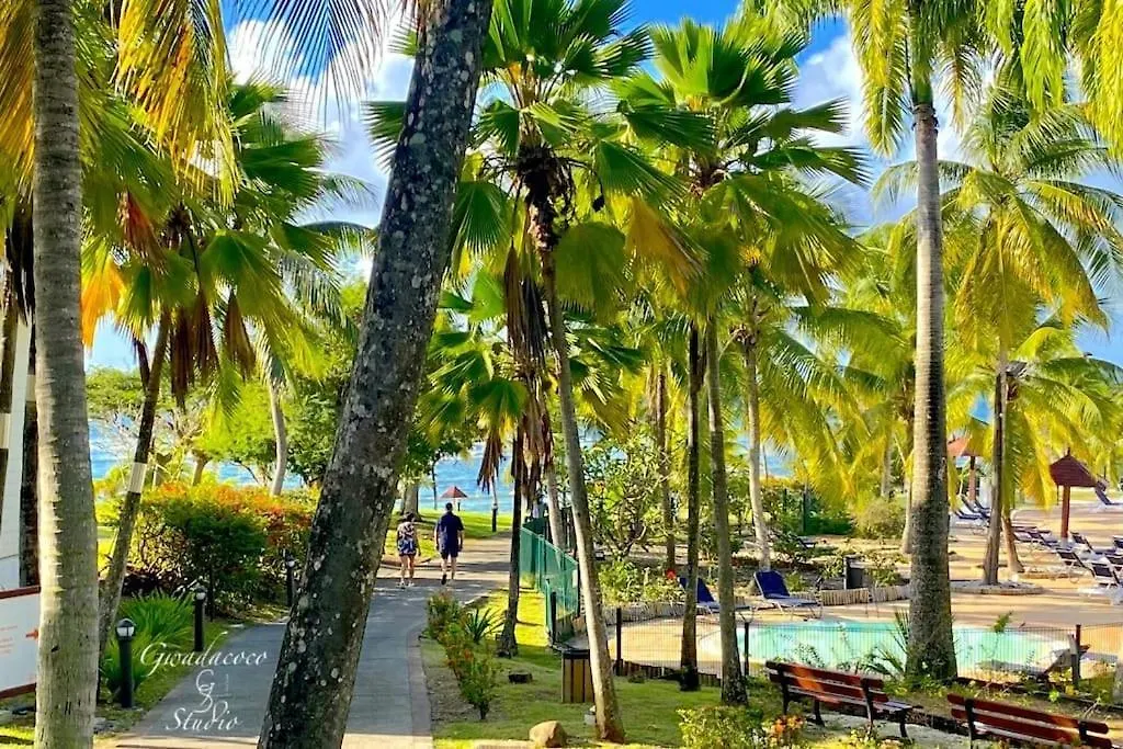 Acces Direct Plage Et Piscine, Vue Mer Et Cocotiers, Les Gwada Studios, Village Vacances Ste Anne Sainte-Anne  Appartement