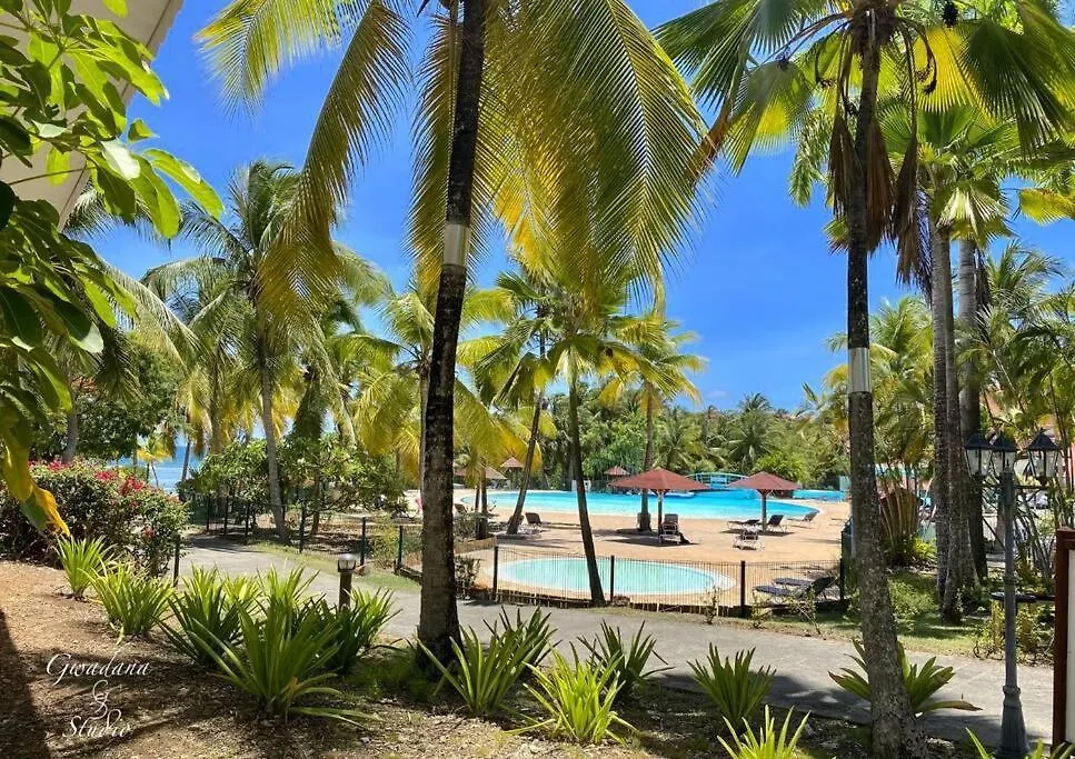 Acces Direct Plage Et Piscine, Vue Mer Et Cocotiers, Les Gwada Studios, Village Vacances Ste Anne Sainte-Anne  Guadeloupe