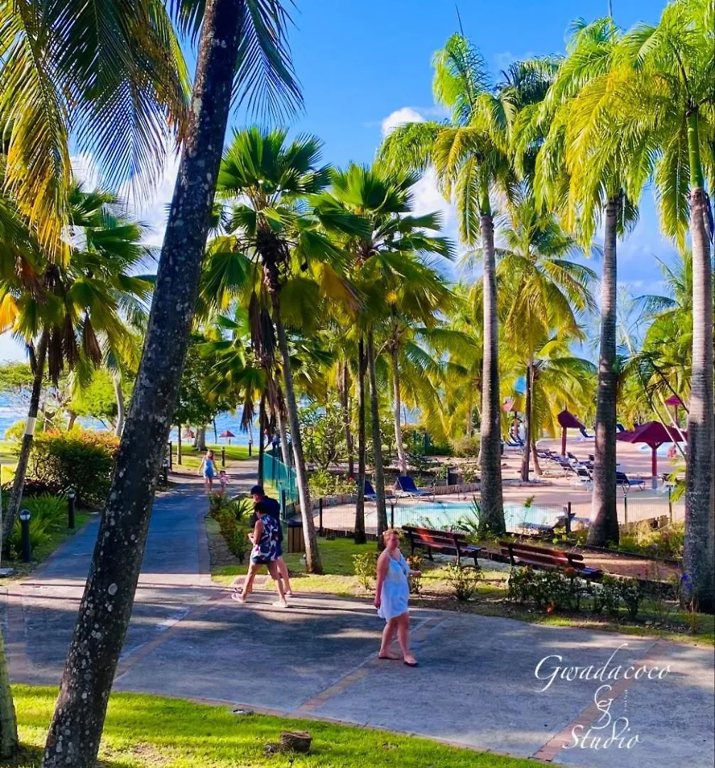 Acces Direct Plage Et Piscine, Vue Mer Et Cocotiers, Les Gwada Studios, Village Vacances Ste Anne Sainte-Anne  0*, Sainte-Anne (Grande-Terre) Guadeloupe